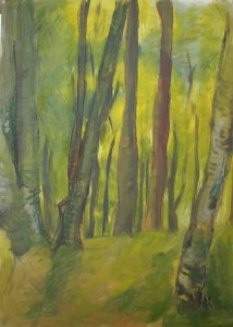Beech woods, acrylic, 20"x30"
